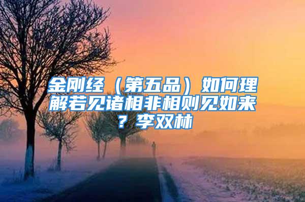 金刚经（第五品）如何理解若见诸相非相则见如来？李双林